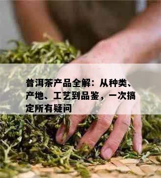 普洱茶产品全解：从种类、产地、工艺到品鉴，一次搞定所有疑问