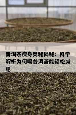 普洱茶瘦身奥秘揭秘：科学解析为何喝普洱茶能轻松减肥