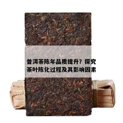 普洱茶陈年品质提升？探究茶叶陈化过程及其影响因素