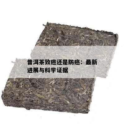 普洱茶致癌还是防癌：最新进展与科学证据