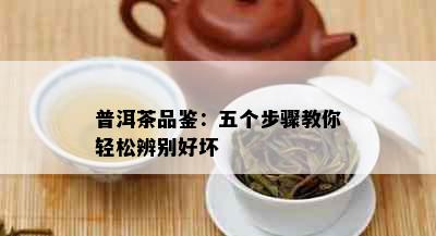 普洱茶品鉴：五个步骤教你轻松辨别好坏