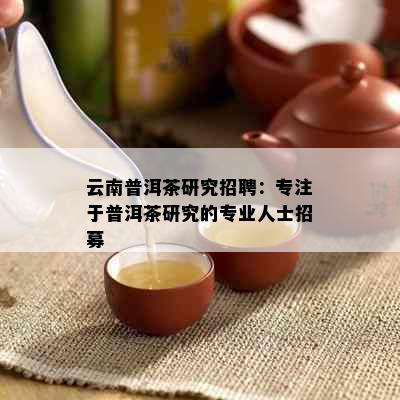 云南普洱茶研究招聘：专注于普洱茶研究的专业人士招募