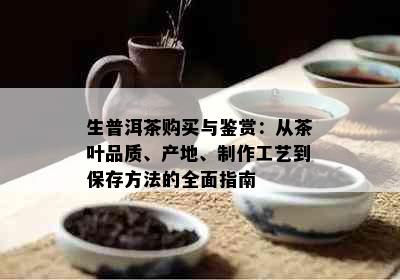 生普洱茶购买与鉴赏：从茶叶品质、产地、制作工艺到保存方法的全面指南