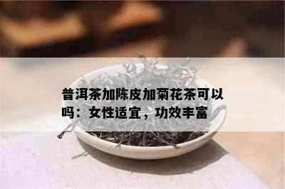 普洱茶加陈皮加菊花茶可以吗：女性适宜，功效丰富