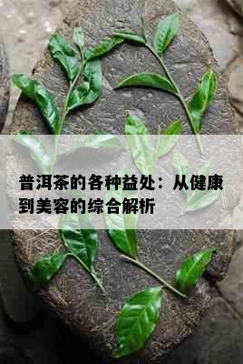 普洱茶的各种益处：从健康到美容的综合解析