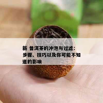 新 普洱茶的冲泡与过滤：步骤、技巧以及你可能不知道的影响