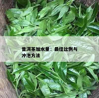 普洱茶加水量：更佳比例与冲泡方法