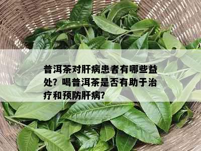 普洱茶对肝病患者有哪些益处？喝普洱茶是否有助于治疗和预防肝病？