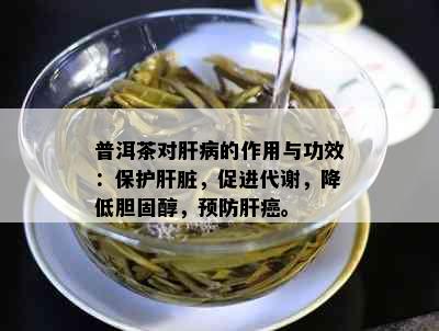 普洱茶对肝病的作用与功效：保护肝脏，促进代谢，降低胆固醇，预防肝癌。