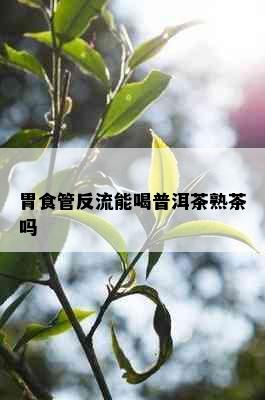 胃食管反流能喝普洱茶熟茶吗