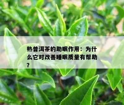 熟普洱茶的助眠作用：为什么它对改善睡眠质量有帮助？