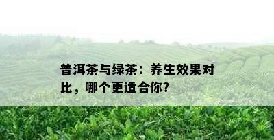 普洱茶与绿茶：养生效果对比，哪个更适合你？