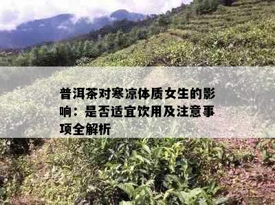 普洱茶对寒凉体质女生的影响：是否适宜饮用及注意事项全解析