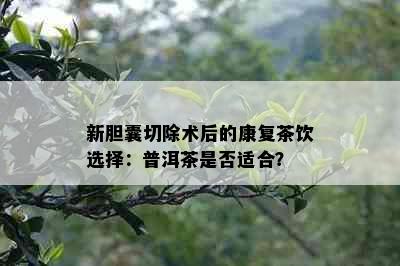 新胆囊切除术后的康复茶饮选择：普洱茶是否适合？