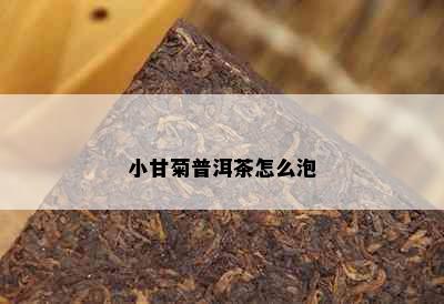 小甘菊普洱茶怎么泡