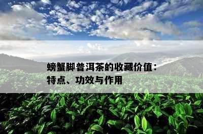 螃蟹脚普洱茶的收藏价值：特点、功效与作用