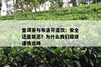 普洱茶与布洛芬混饮：安全还是禁忌？为什么我们应该谨慎选择