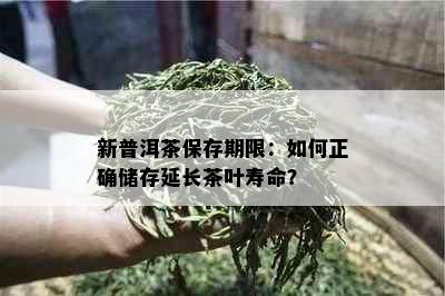 新普洱茶保存期限：如何正确储存延长茶叶寿命？