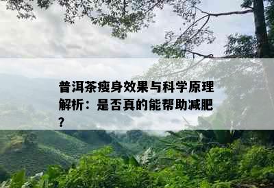 普洱茶瘦身效果与科学原理解析：是否真的能帮助减肥？