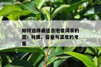 如何选择最适合泡普洱茶的壶：材质、容量与温度的考量