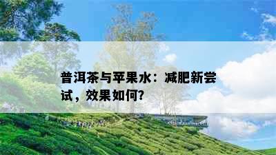 普洱茶与苹果水：减肥新尝试，效果如何？