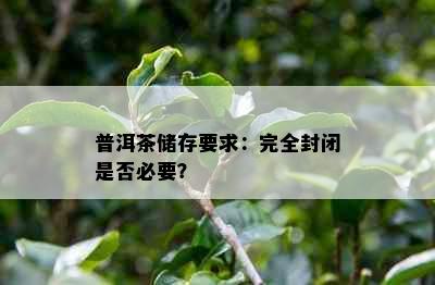 普洱茶储存要求：完全封闭是否必要？