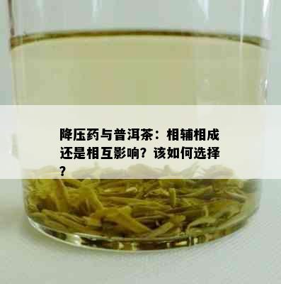 降压与普洱茶：相辅相成还是相互影响？该如何选择？