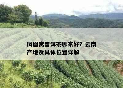 凤凰窝普洱茶哪家好？云南产地及具     置详解