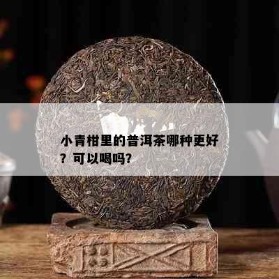 小青柑里的普洱茶哪种更好？可以喝吗？