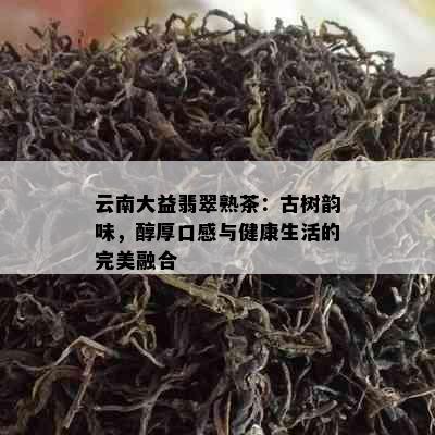 云南大益翡翠熟茶：古树韵味，醇厚口感与健康生活的完美融合