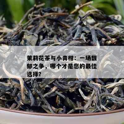 茉莉花茶与小青柑：一场馥郁之争，哪个才是您的更佳选择？