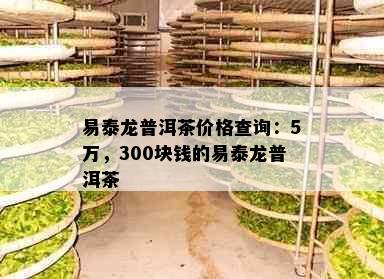 易泰龙普洱茶价格查询：5万，300块钱的易泰龙普洱茶