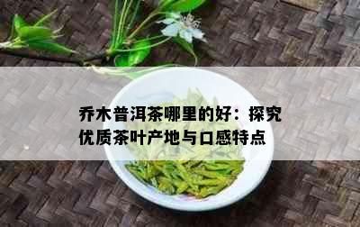 乔木普洱茶哪里的好：探究优质茶叶产地与口感特点