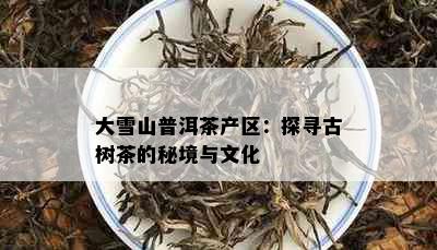 大雪山普洱茶产区：探寻古树茶的秘境与文化