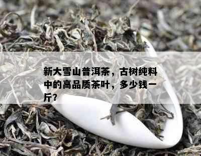 新大雪山普洱茶，古树纯料中的高品质茶叶，多少钱一斤？