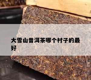 大雪山普洱茶哪个村子的更好