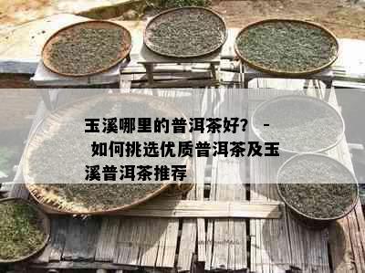 玉溪哪里的普洱茶好？ - 如何挑选优质普洱茶及玉溪普洱茶推荐