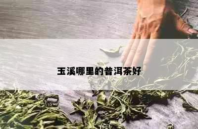 玉溪哪里的普洱茶好