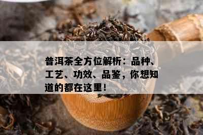 普洱茶全方位解析：品种、工艺、功效、品鉴，你想知道的都在这里！