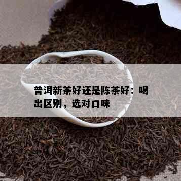 普洱新茶好还是陈茶好：喝出区别，选对口味