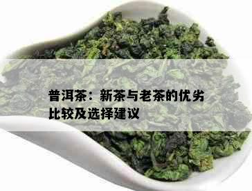 普洱茶：新茶与老茶的优劣比较及选择建议