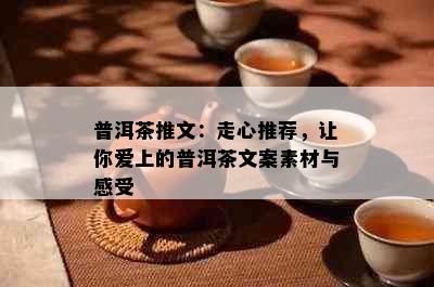 普洱茶推文：走心推荐，让你爱上的普洱茶文案素材与感受