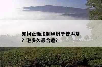 如何正确泡制碎银子普洱茶？泡多久最合适？