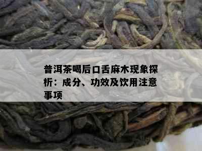 普洱茶喝后口舌麻木现象探析：成分、功效及饮用注意事项