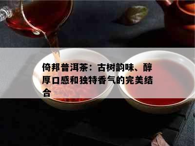 倚邦普洱茶：古树韵味、醇厚口感和独特香气的完美结合