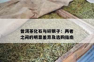 普洱茶化石与碎银子：两者之间的明显差异及选购指南