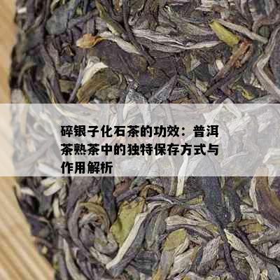 碎银子化石茶的功效：普洱茶熟茶中的独特保存方式与作用解析