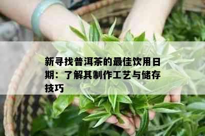 新寻找普洱茶的更佳饮用日期：了解其制作工艺与储存技巧