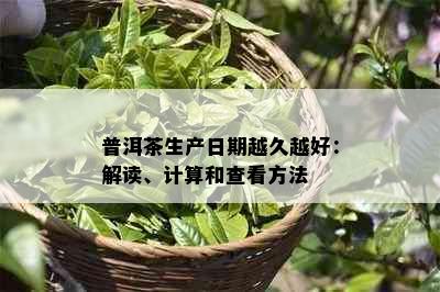 普洱茶生产日期越久越好：解读、计算和查看方法