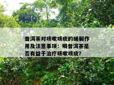 普洱茶对咳嗽咳痰的缓解作用及注意事项：喝普洱茶是否有益于治疗咳嗽咳痰？